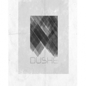 Dushe demo submission