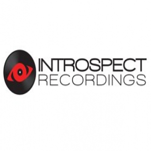 Introspect Recordings demo submission