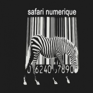 Safari Numerique demo submission