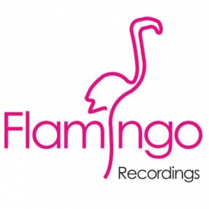 FLAMINGO RECORDINGS demo submission