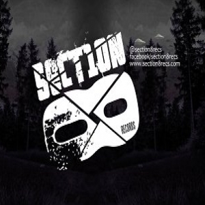 Section 8 Recordings demo submission